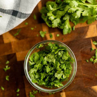 fresh cilantro for Ceviche Recipes